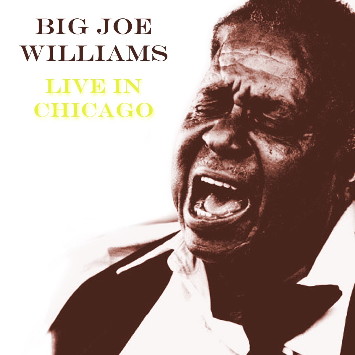 Live In Chicago Album Von Big Joe Williams Apple Music