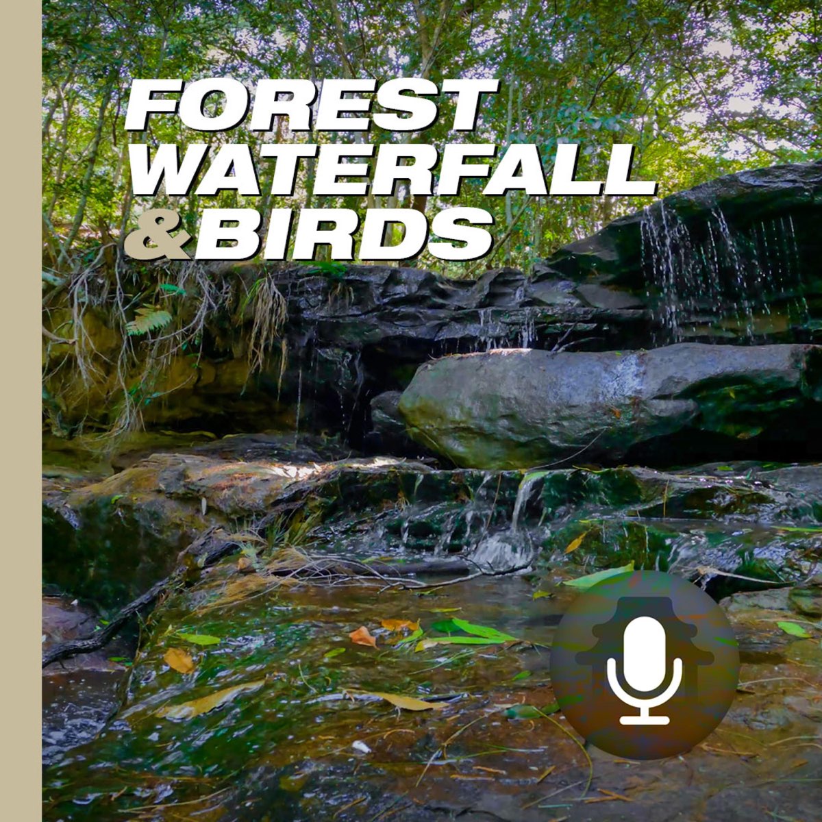 Australian Forest Waterfall And Birds Relaxing Sounds Album By