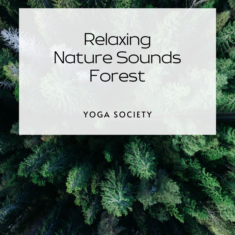 Forest Freedom Meditation Music Relaxing Spa Music Yoga Society