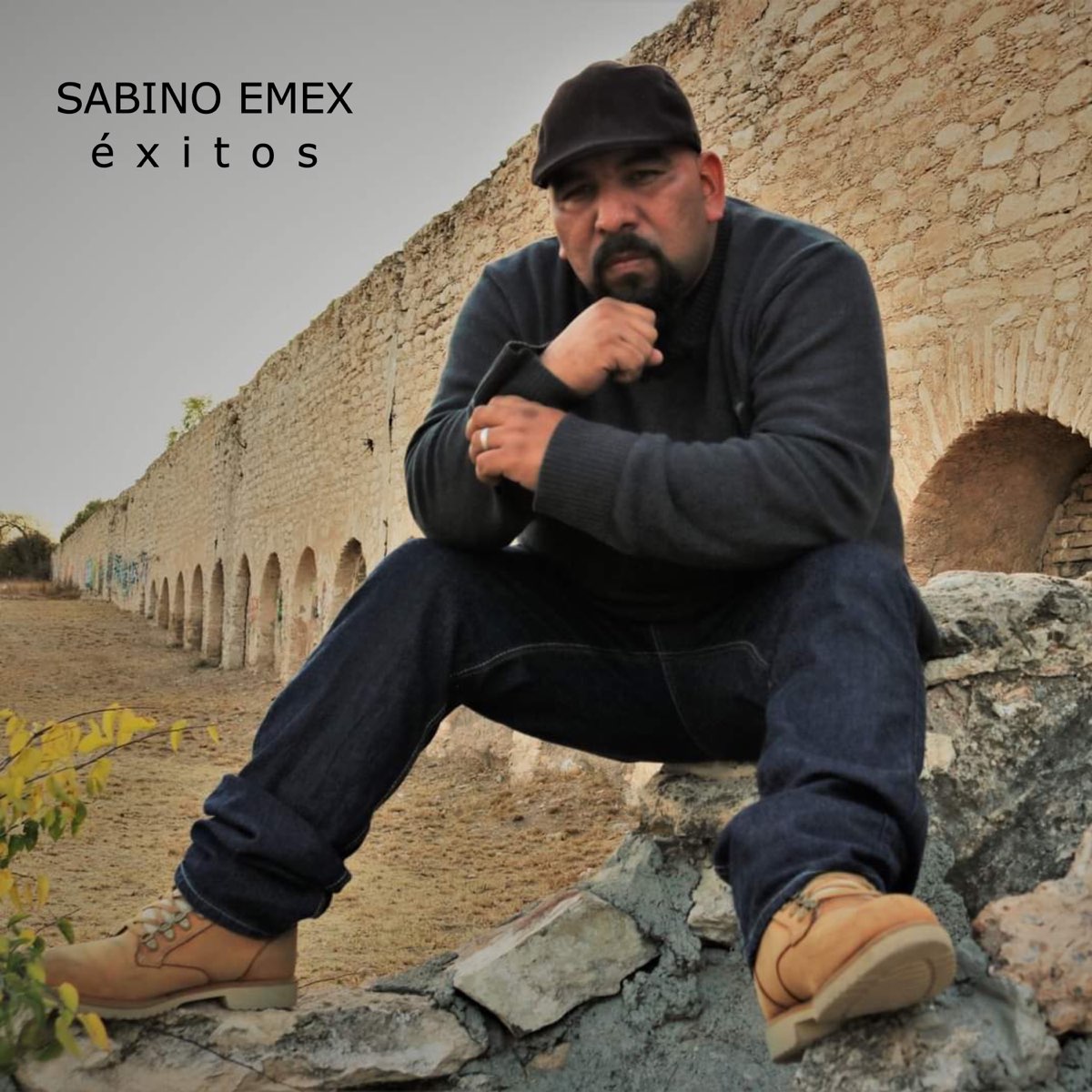 Xitos Album Von Sabino Emex Apple Music