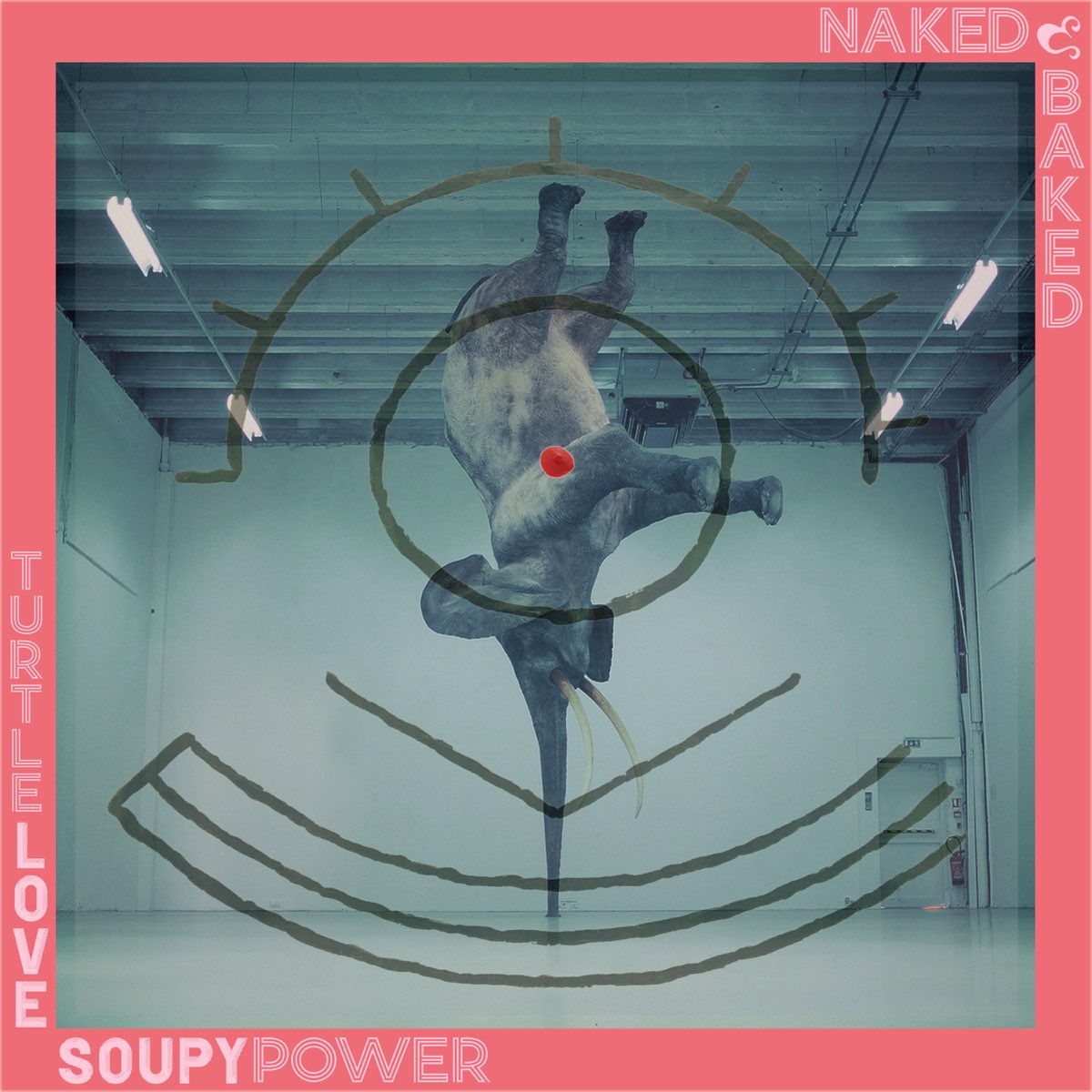 Turtle Love Soupy Power Album By Naked Baked Apple Music