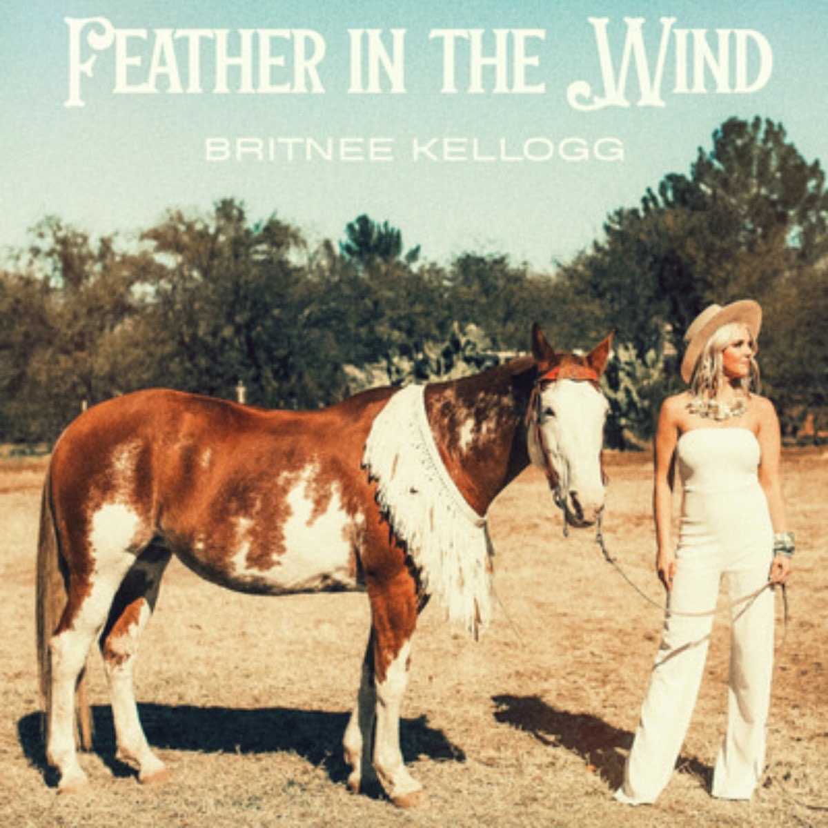 Feather In The Wind Single Britnee Kellogg Apple Music