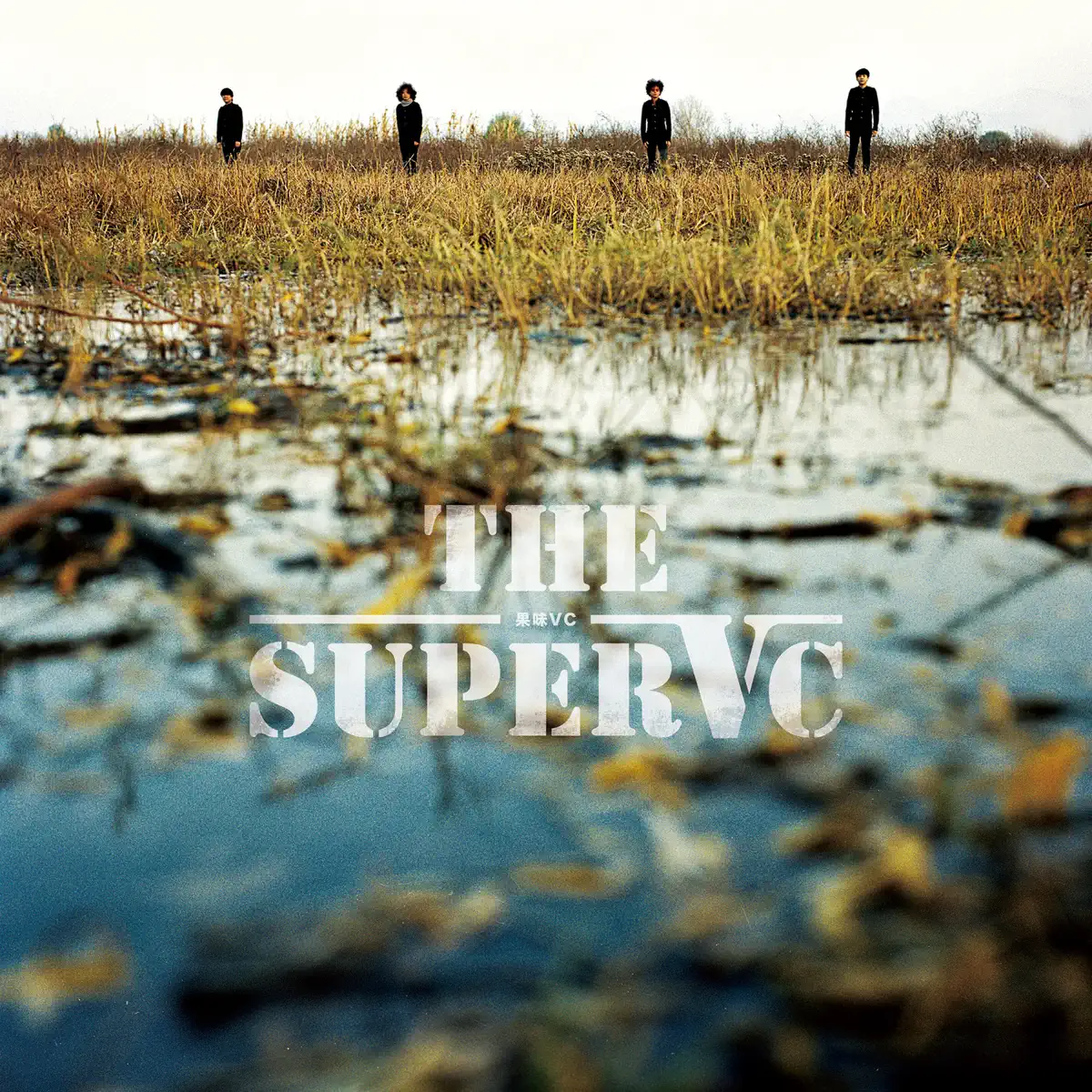 果味VC – 果味VC (2017) [iTunes Plus AAC M4A]-新房子