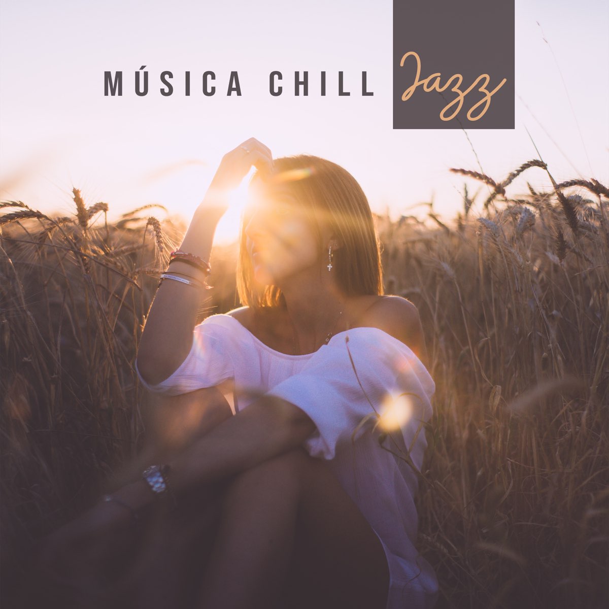 M Sica Chill Jazz Ambiente Relajante Para Cocteler A Jazz Lounge