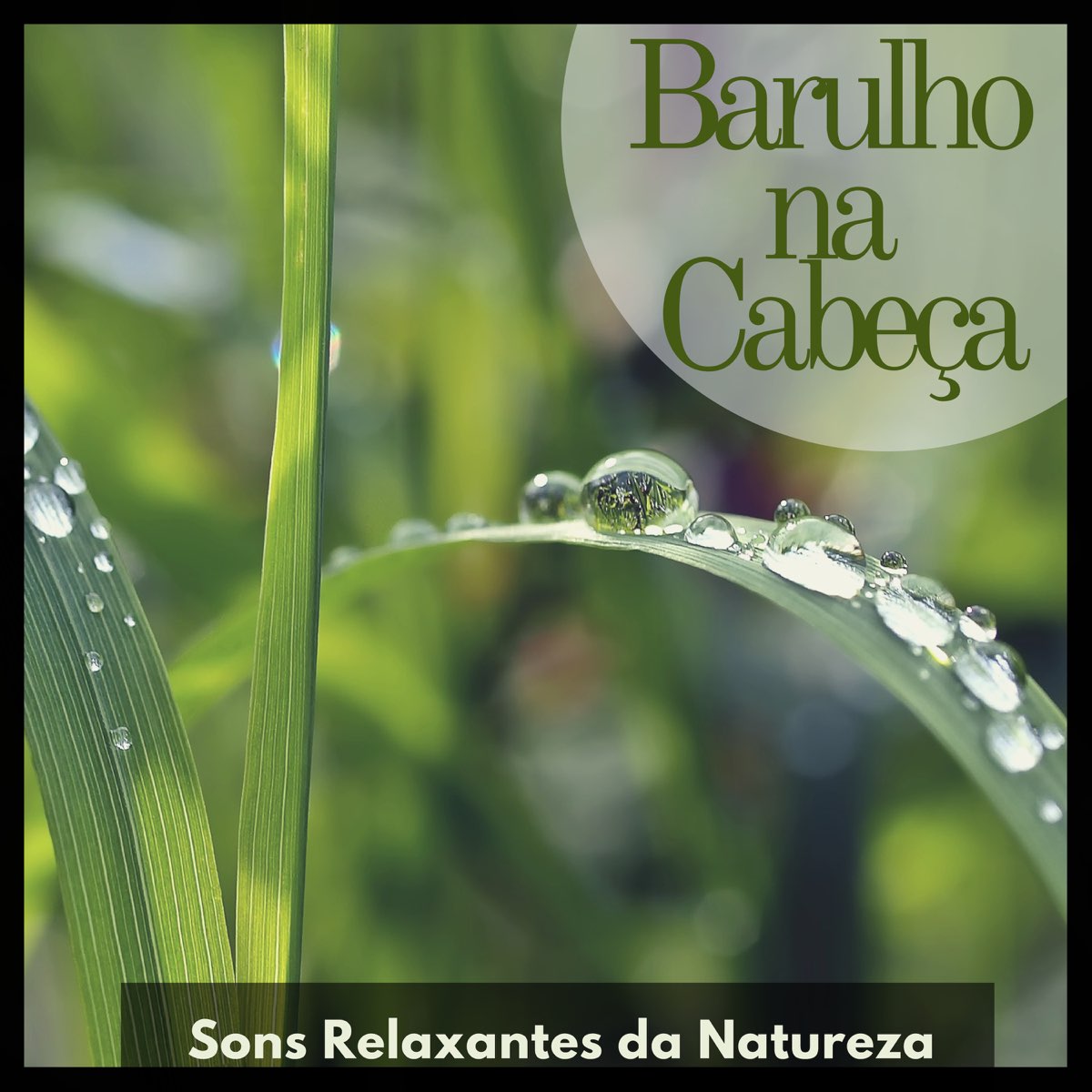 Barulho na Cabeça Sons Relaxantes da Natureza Música Barulho de