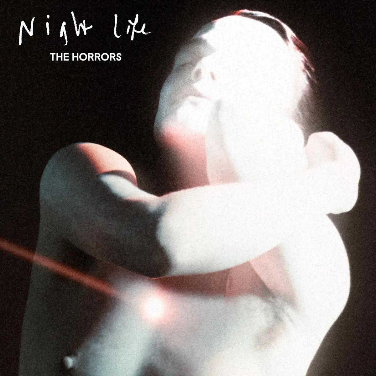The Horrors - Night Life (2025) [iTunes Plus AAC M4A]-新房子