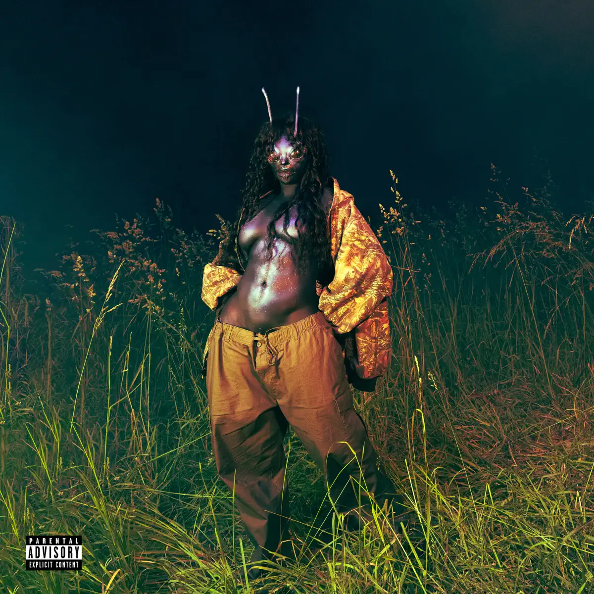 SZA - SOS Deluxe: LANA (2025) [iTunes Plus AAC M4A]-新房子