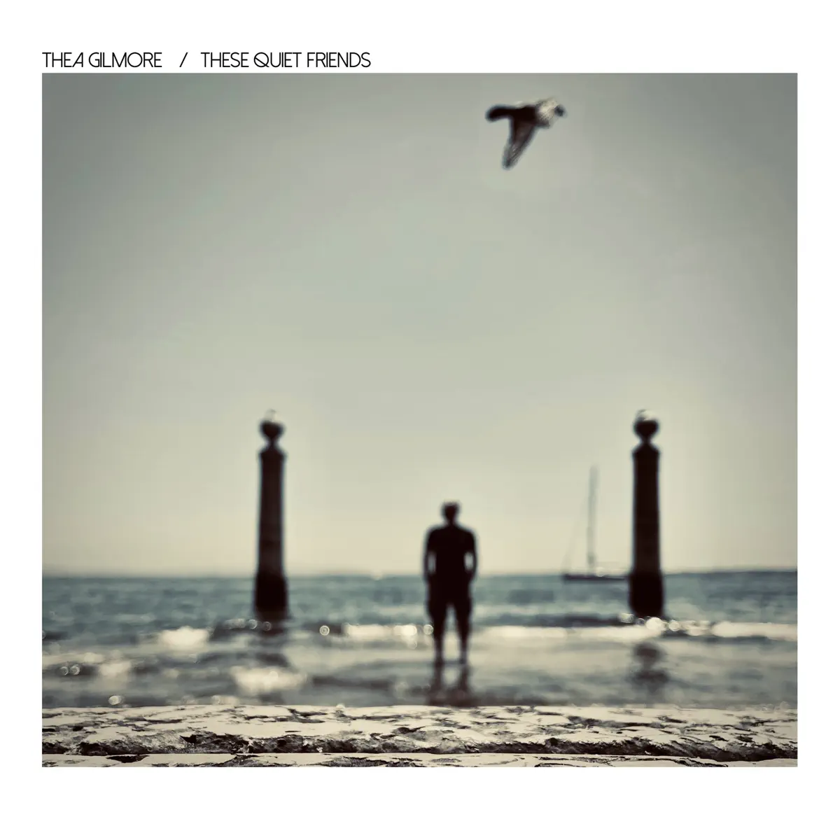 Thea Gilmore - These Quiet Friends (2025) [iTunes Plus AAC M4A]-新房子