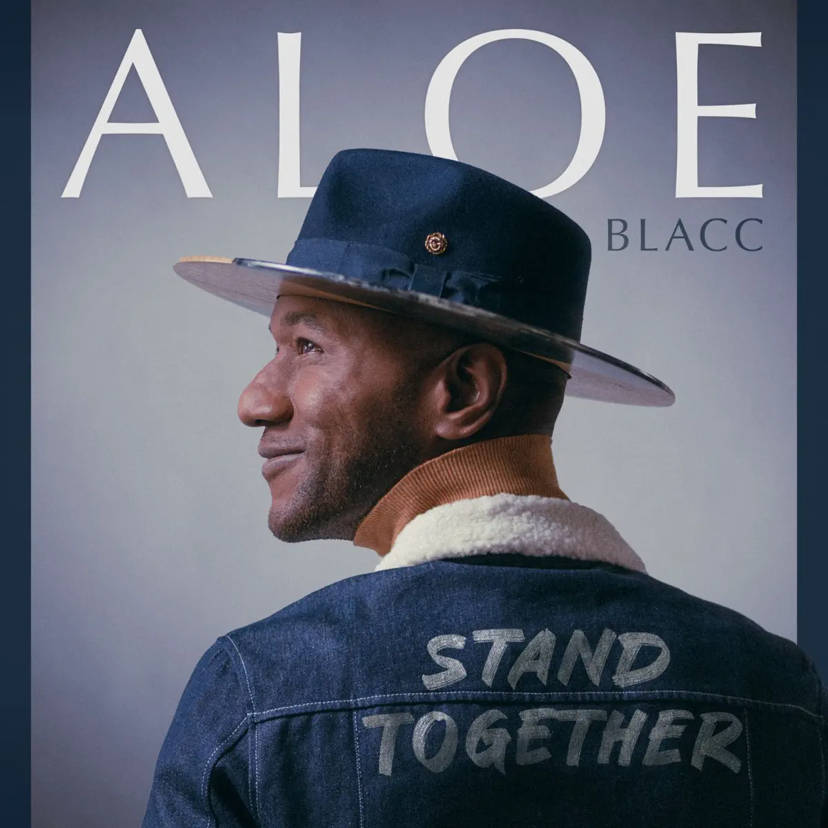 Aloe Blacc - Stand Together (2025) [iTunes Plus AAC M4A]-新房子