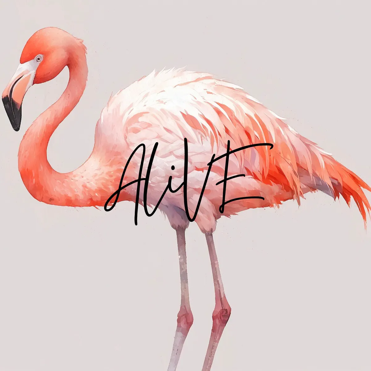 CHILL BOOK - ALiVE (2025) [iTunes Plus AAC M4A]-新房子