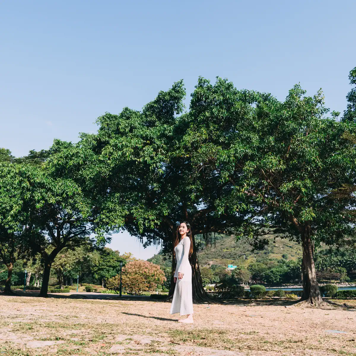 Kay 李凱翹 - Silent Tree - Single (2025) [iTunes Plus AAC M4A]-新房子