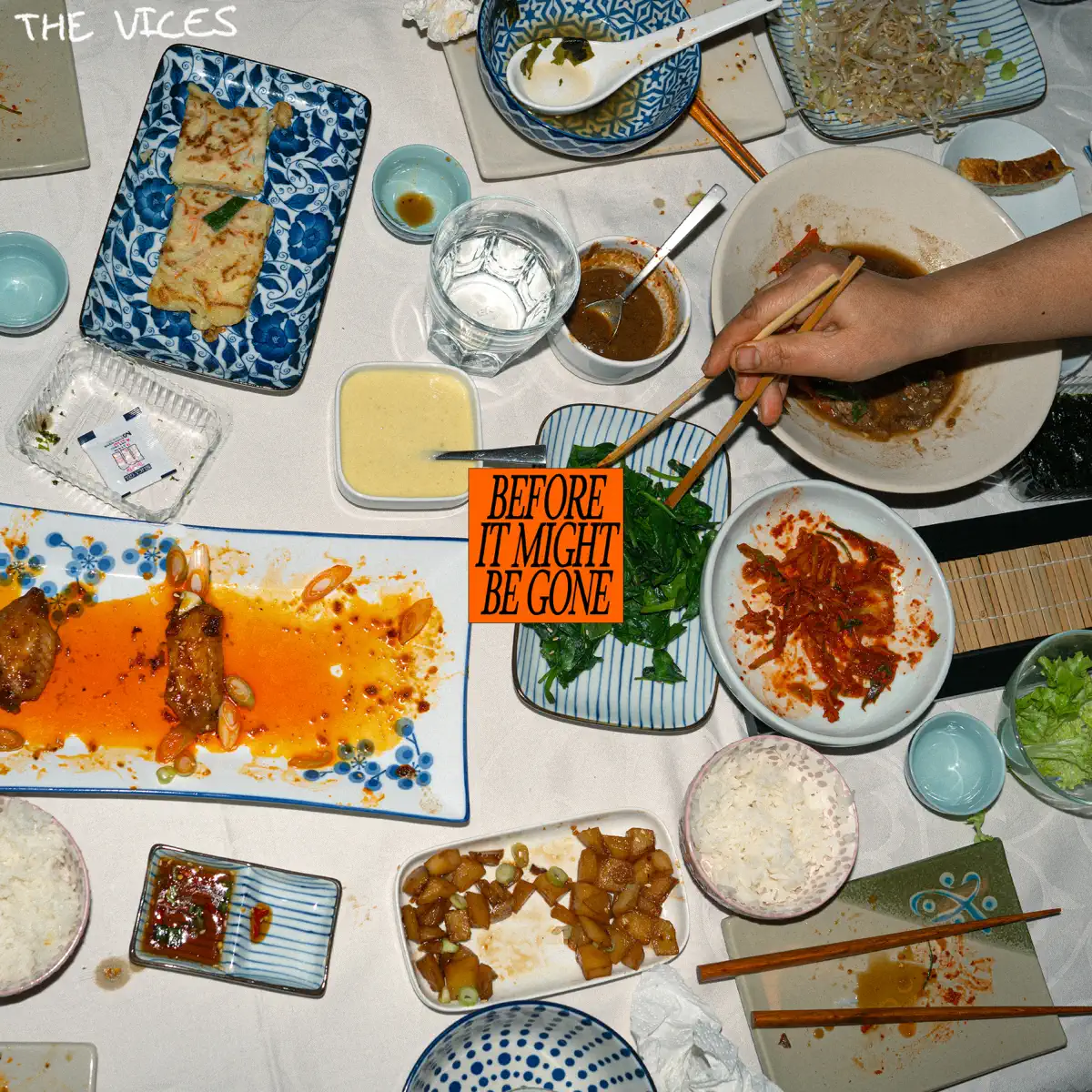 The Vices - Before It Might Be Gone (2025) [iTunes Plus AAC M4A]-新房子