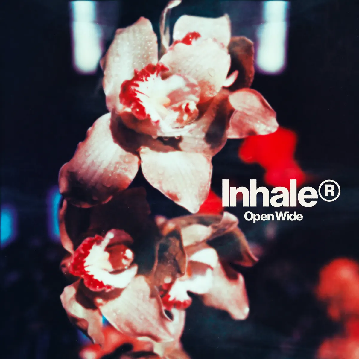 Inhaler - Open Wide (2025) [iTunes Plus AAC M4A]-新房子