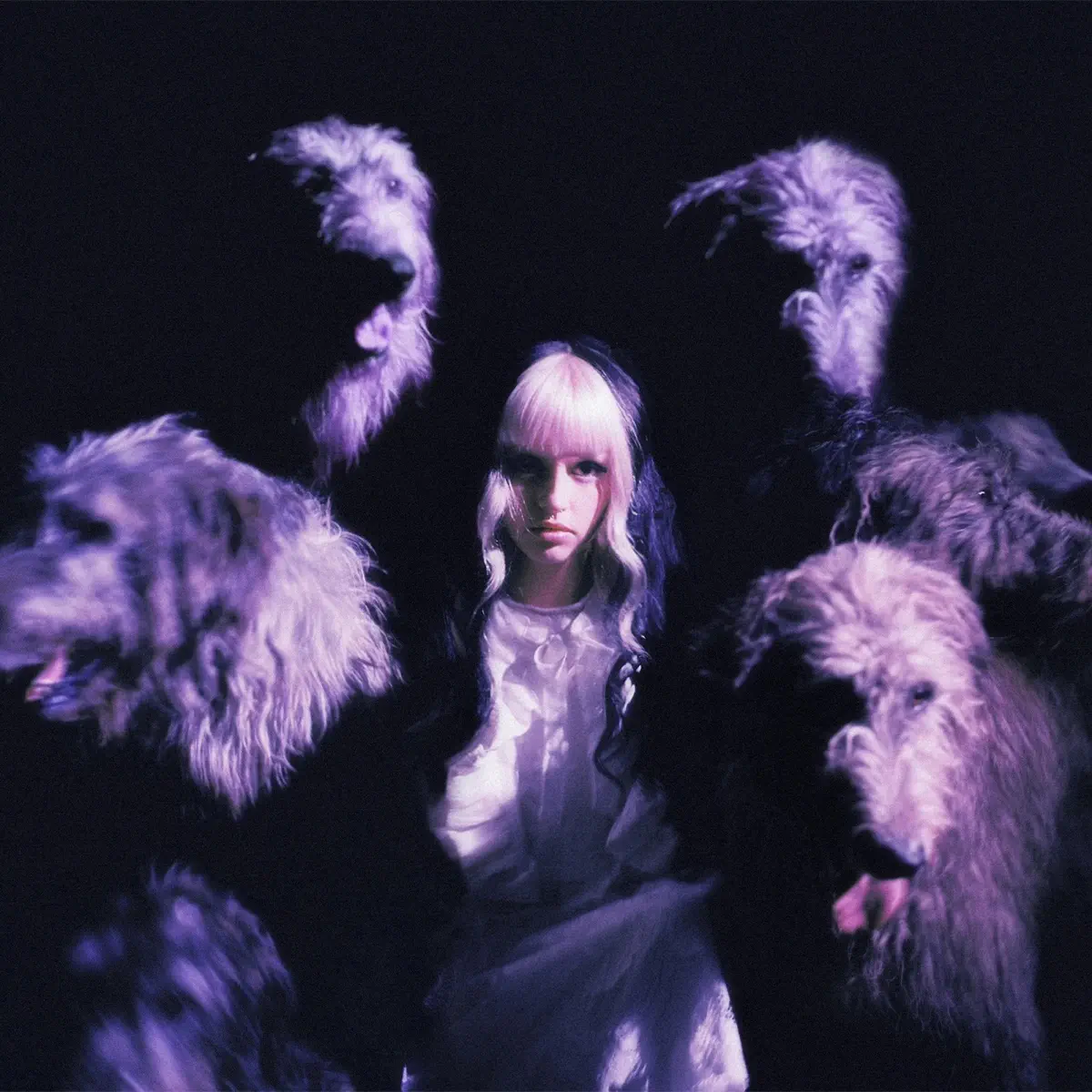 amy michelle - NOTHING HOLY IS FREE - EP (2025) [iTunes Plus AAC M4A]-新房子