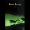 6 - Blind Spring