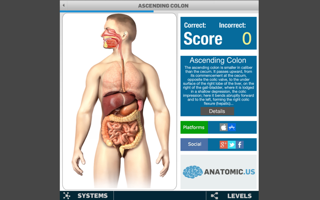 ‎Anatomy Game Anatomicus Screenshot