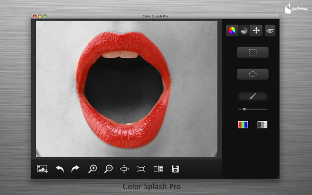 ‎Color Splash Pro Screenshot