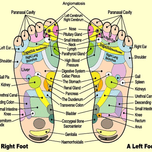 Foot therapy pov