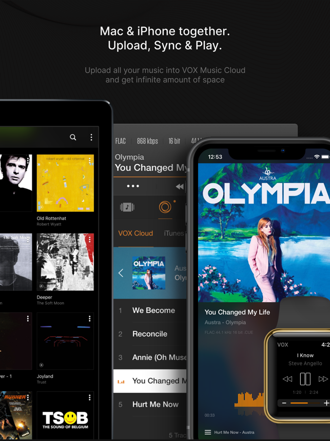 ‎VOX – MP3 & FLAC Music Player Screenshot