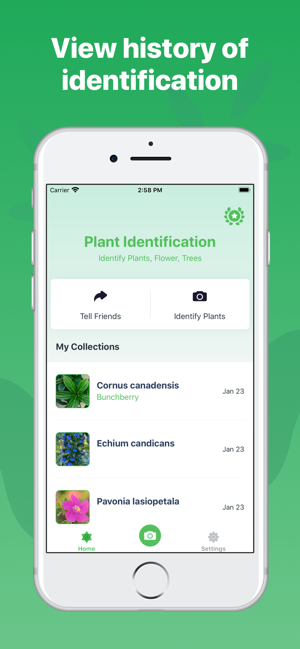 ‎Plant Identification ++ Screenshot