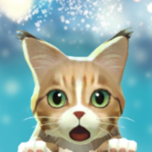 냥냥 고양이 리조트