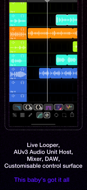 ‎Loopy Pro: Looper DAW Sampler Screenshot