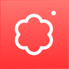 SOVS2 - Pose Camera - SOVS Co., Ltd