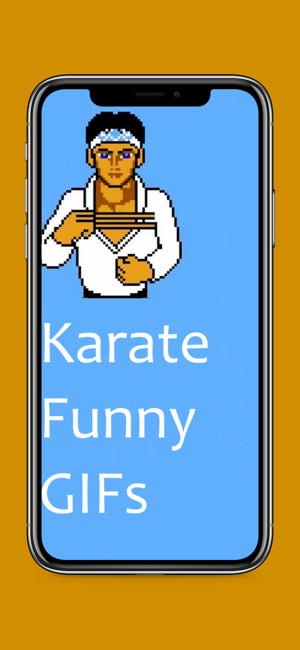 karate funny gifs