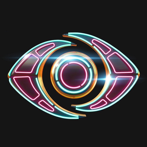 BIG BROTHER icon