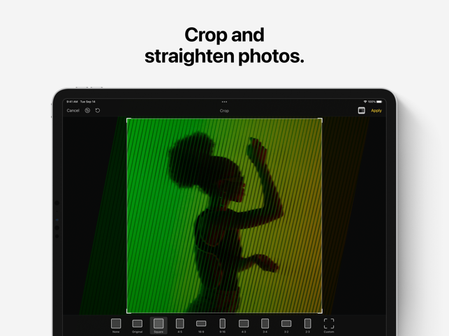 ‎Pixelmator Screenshot