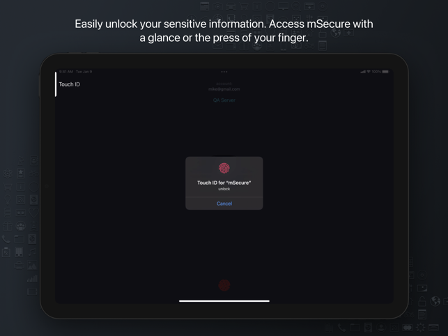 ‎mSecure - Password Manager Screenshot