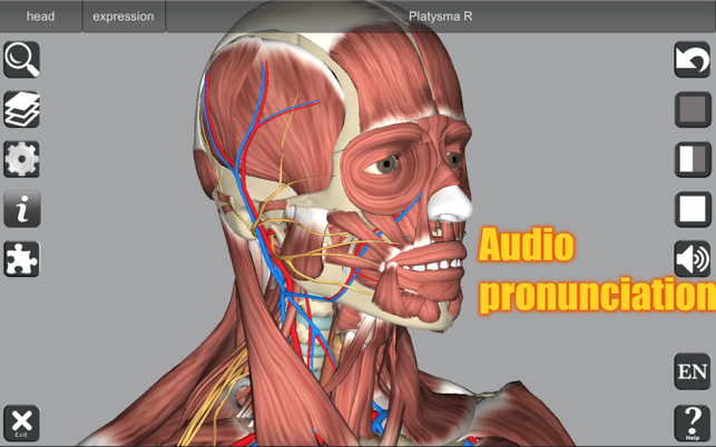 ‎3D Anatomy Screenshot