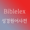 바이블렉스 성경본문해석사전2 - 브니엘성경연구소