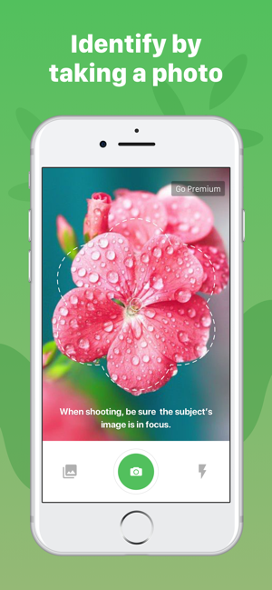 ‎Plant Identification ++ Screenshot