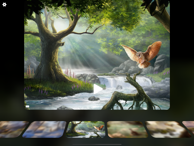 ‎Flowing ~ Meditation in Nature Screenshot