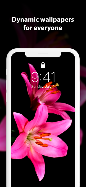 ‎Live Wallpaper ∘ for Me Screenshot