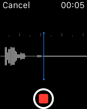 ‎Audio Memos Screenshot