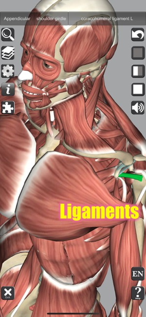 ‎3D Anatomy Screenshot