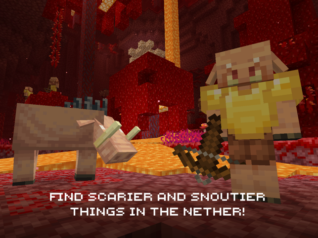 ‎Minecraft Screenshot