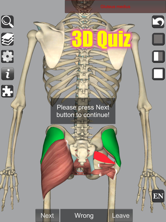 ‎3D Anatomy Screenshot