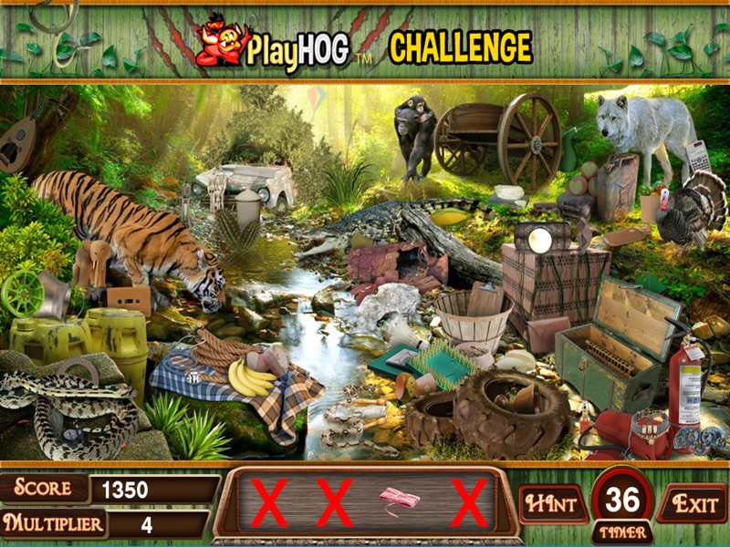 jungle fever hidden objects