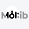 몰입 - Mol:ib - Doublew
