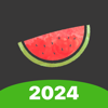 Melon VPN - Easy Fast VPN - Wildlook Tech Pte Ltd