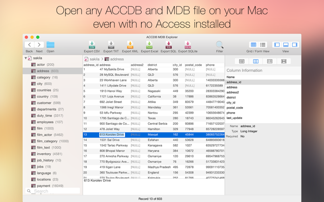 ‎ACCDB MDB Explorer - Open, view & export Access files Screenshot