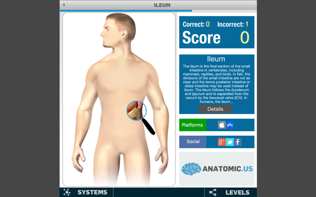 ‎Anatomy Game Anatomicus Screenshot