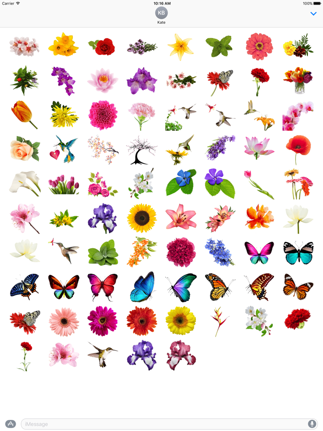 ‎Spring Flowers Stickers for iMessage Screenshot