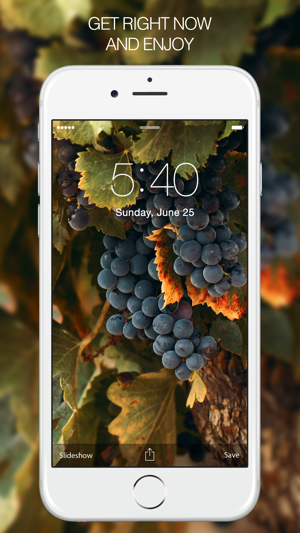 ‎Fruit Wallpapers – Apple Wallpaper & Fruit Gallery Screenshot