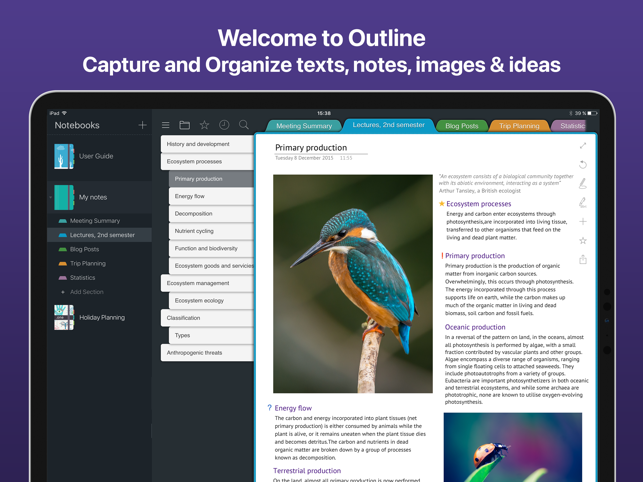 ‎Outline: Powerful Notes Screenshot