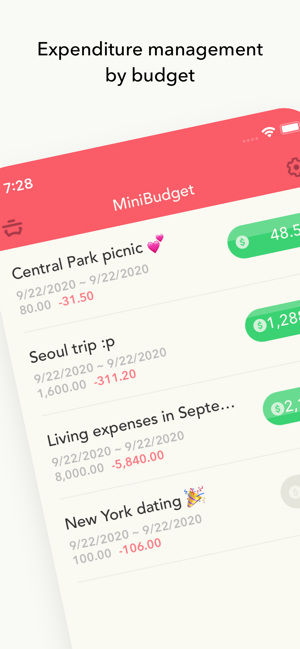 ‎Minibudget Pro Screenshot