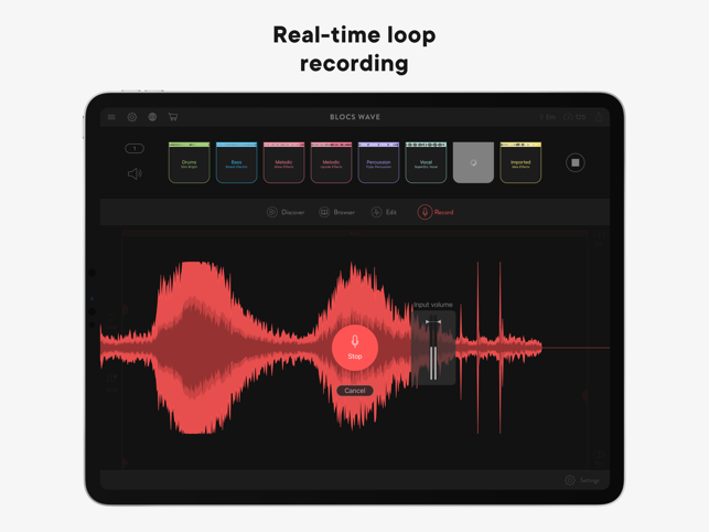 ‎Blocs Wave: Record Music Live Screenshot